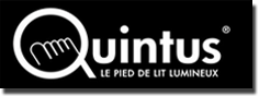 Logo My Quintus